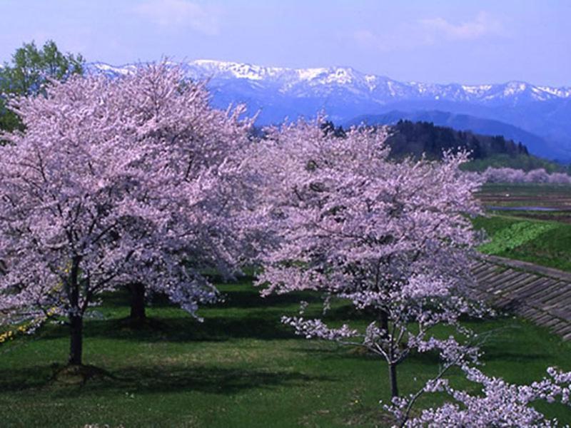 Onsen Minsyuku Akebonosou Morioka Exteriör bild